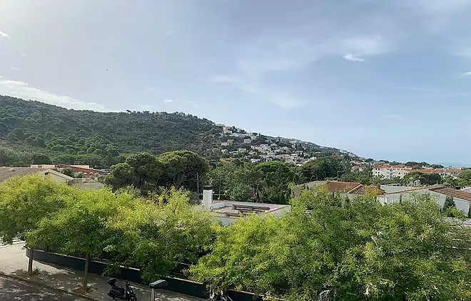 BONIC APARTAMENT A MAS OLIVA DE ROSAS