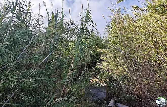 Land in Torroella de Fluvià.