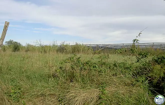 TERRENY 5.000 M2.